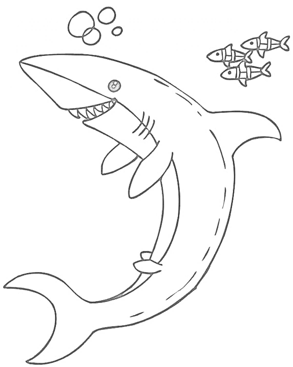 На раскраске изображено: Море, Подводный мир, Для девочек, Животные, Акулы, Океаны, Пузыри, Рыба, 6 лет