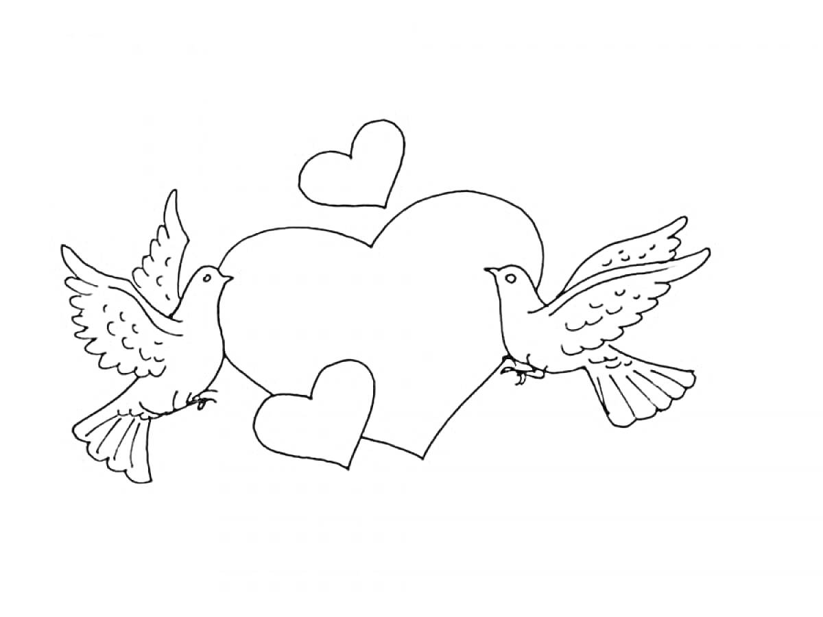 На раскраске изображено: Любовь, Голуби, Сердца, Романтика, Птица