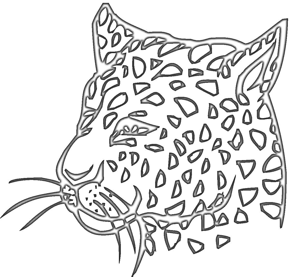 На раскраске изображено: Гепард, Голова, Пятна, Усы, Животные, Дикий кот, Контурные рисунки