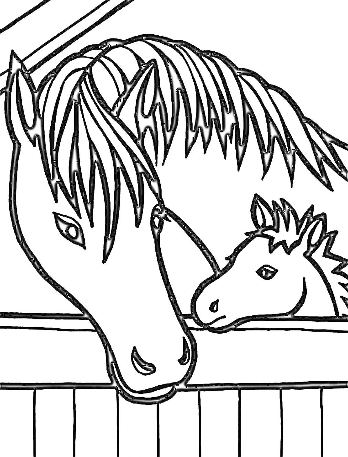 Раскраска Лошади в стойле: взрослая лошадь и жеребенок за загородкой