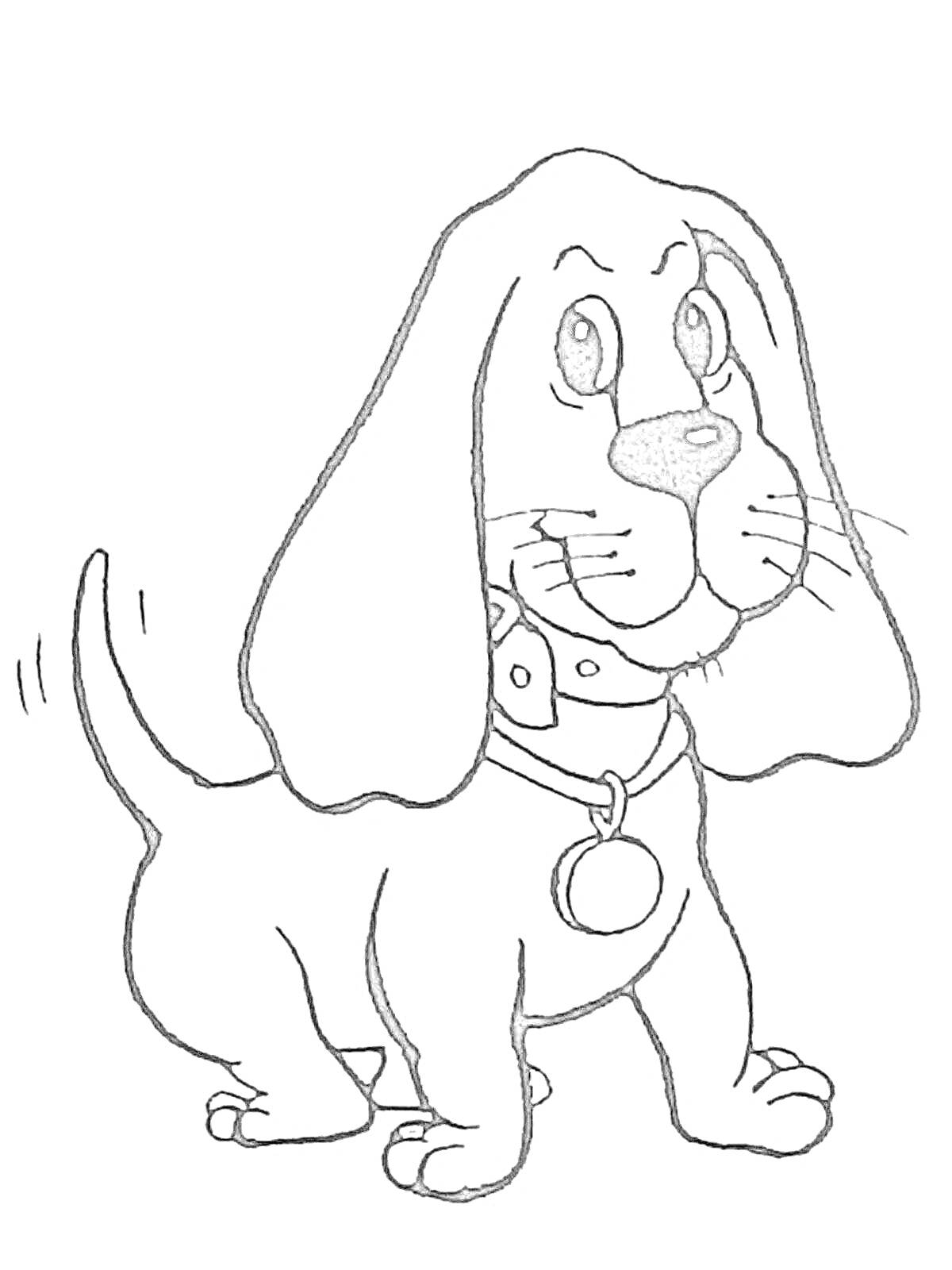 На раскраске изображено: Собака, Питомец, Большой уши, Медальон, Уши