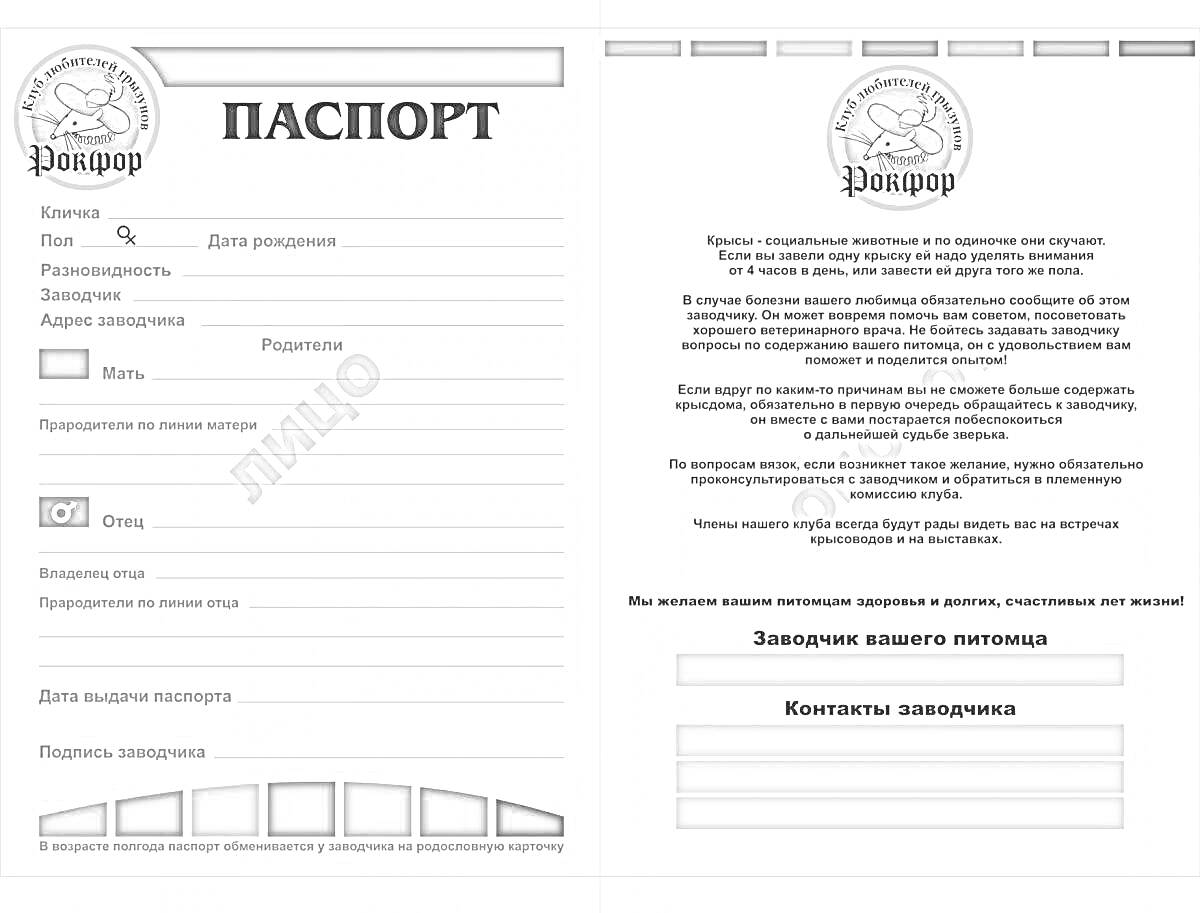 Раскраска Пустой детский паспорт с полями для заполнения имени, пола, даты рождения, гражданства, адреса проживания, места для фотографии, печати и отпечатка пальца, а также похожий на настоящий паспорт дизайн с гербом и текстом на русском языке.