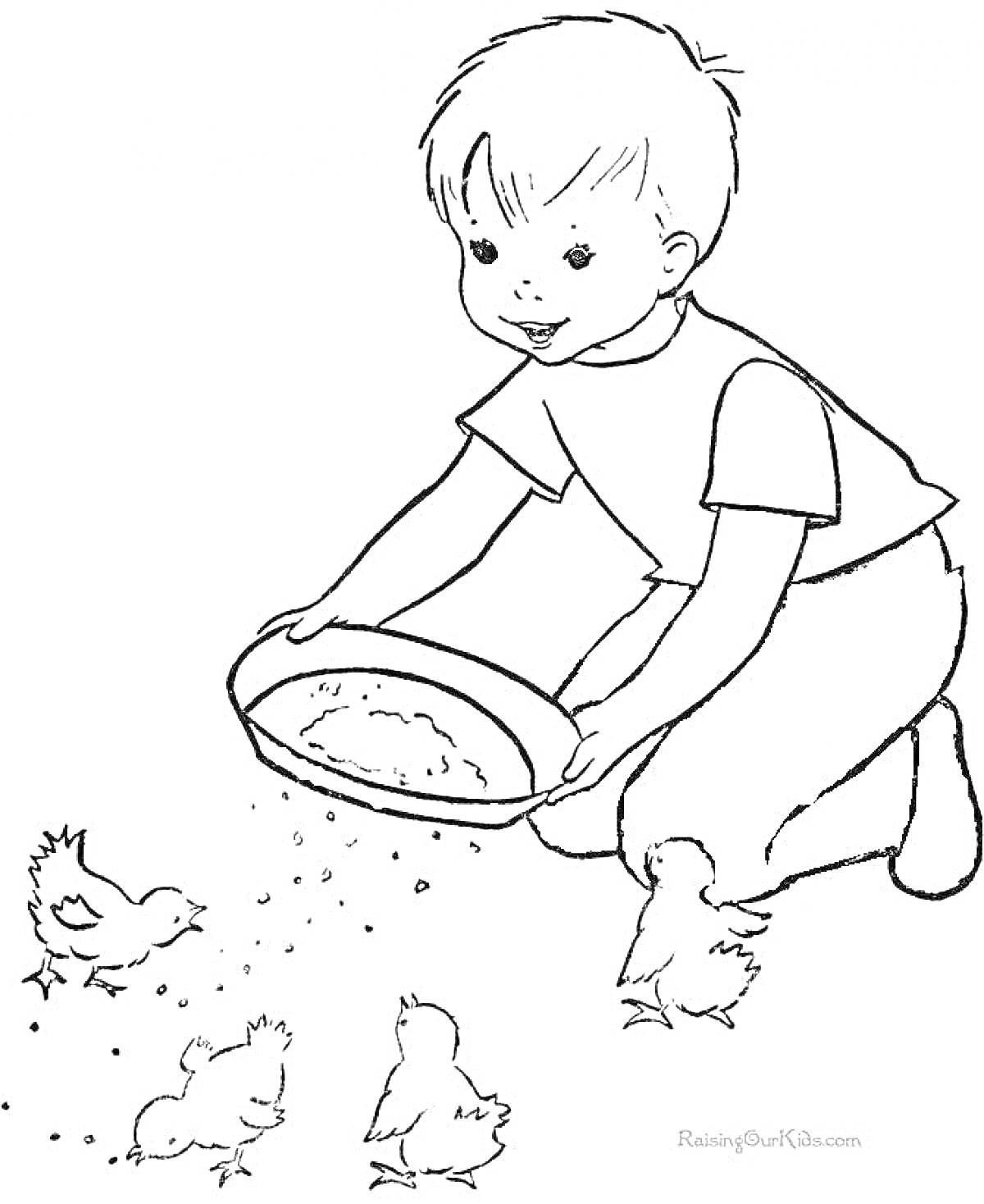 На раскраске изображено: Мальчик, Тарелка, Цыплята, Для детей, Птица, Животные, Корм