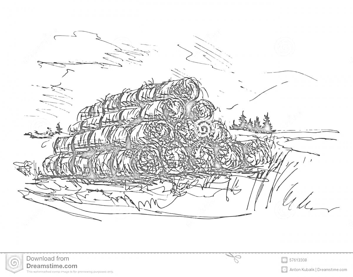 Раскраска Стог из круглых тюков сена на поле, деревья и холмы на заднем фоне, облачное небо
