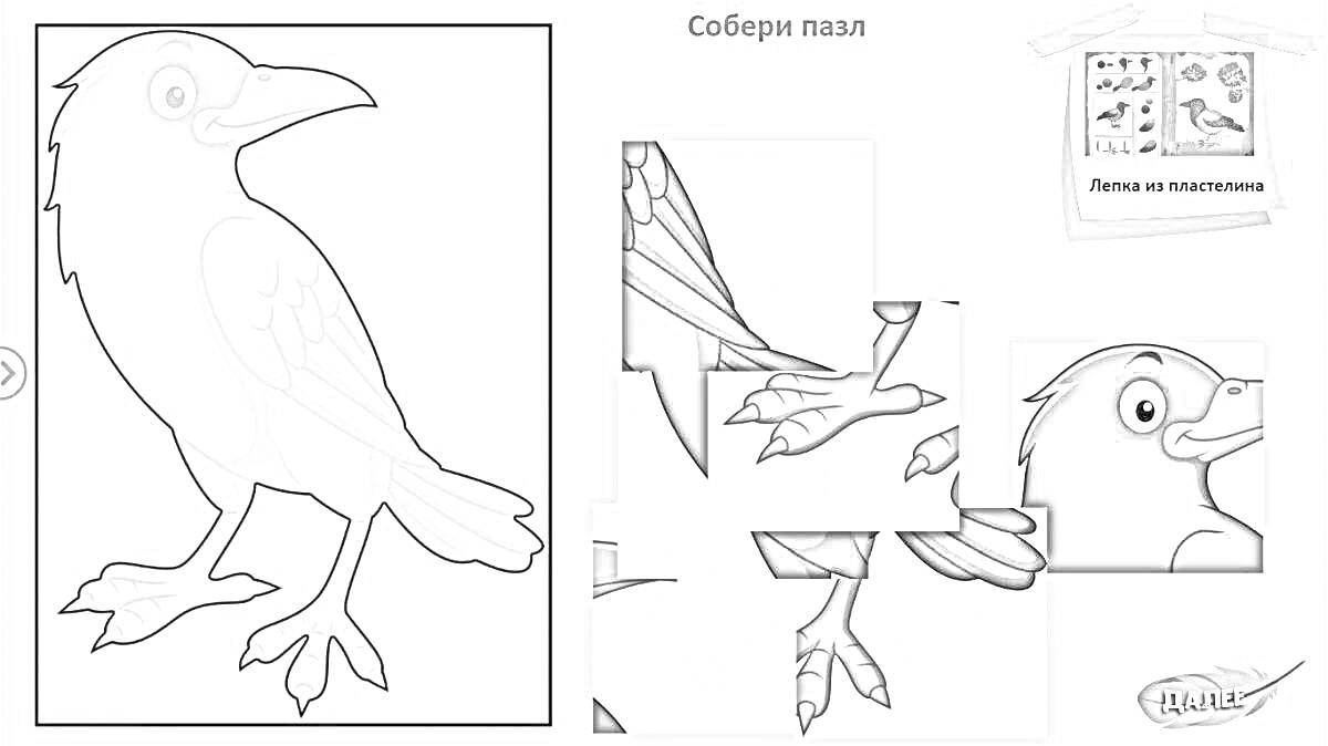 Раскраска Птица, состоящая из частей: крыло, лапа, голова