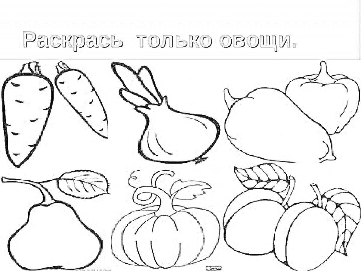 На раскраске изображено: Овощи, Фрукты, Морковь, Лук, Перец, Тыква, Яблоко, 1 класс
