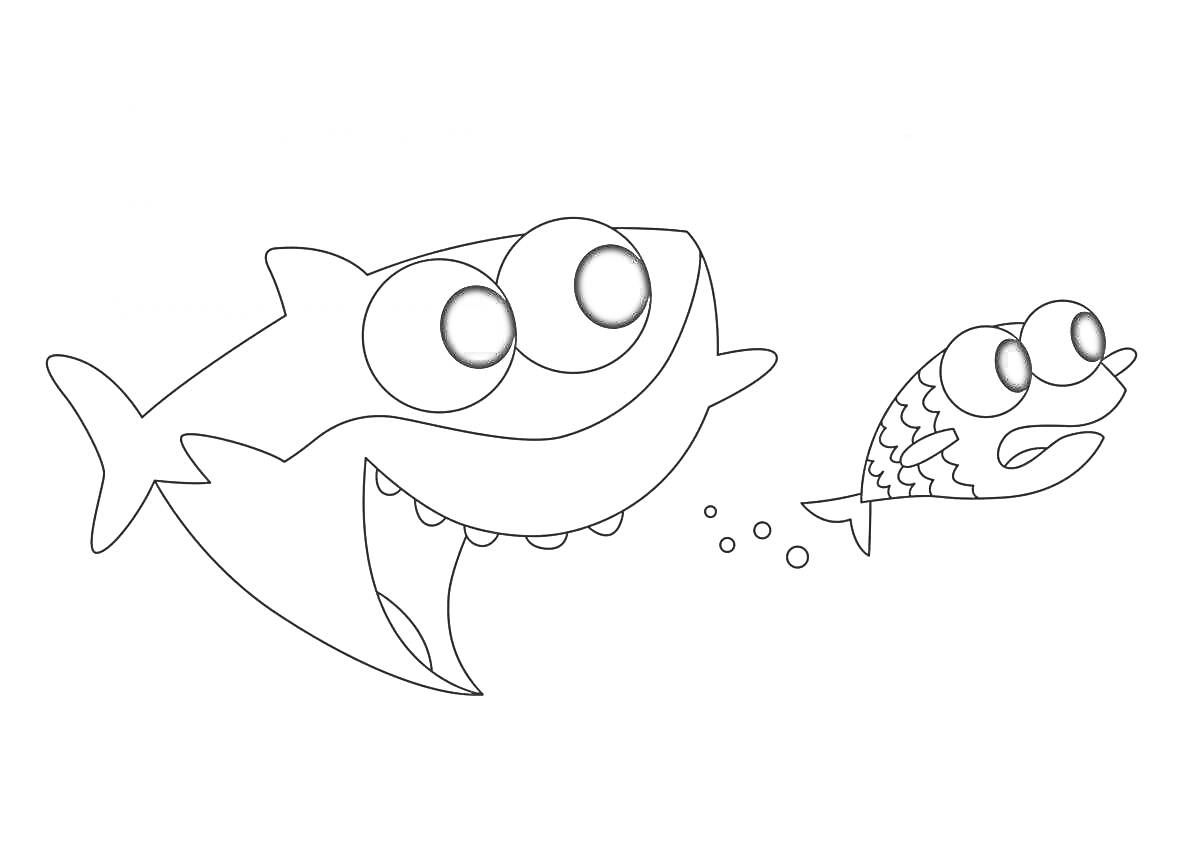 Акула и маленькая рыбка с пузырьками