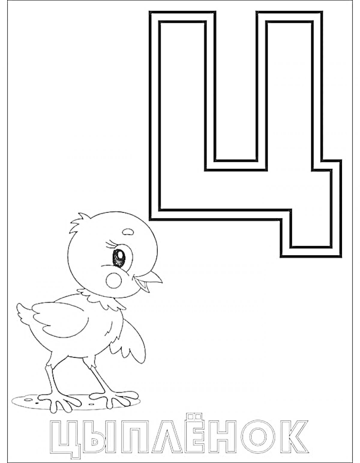 На раскраске изображено: Буква Ц, Цыплёнок, Алфавит, Птица, Обучение, Для детей