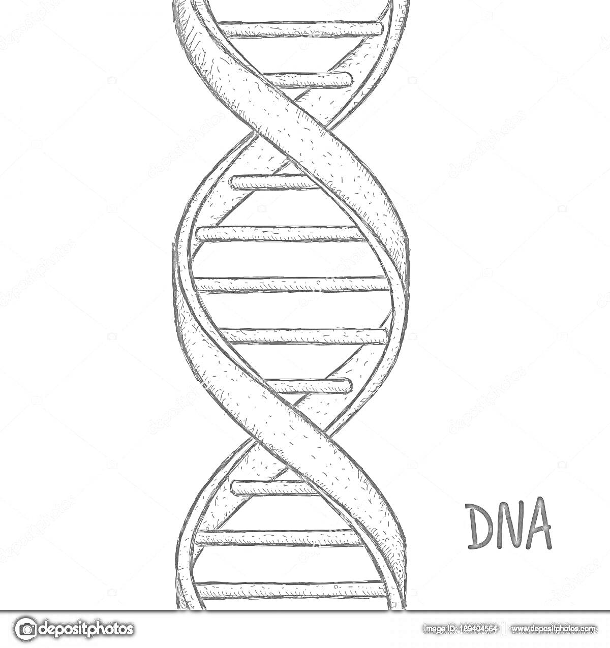 Спиральная структура ДНК с надписью 