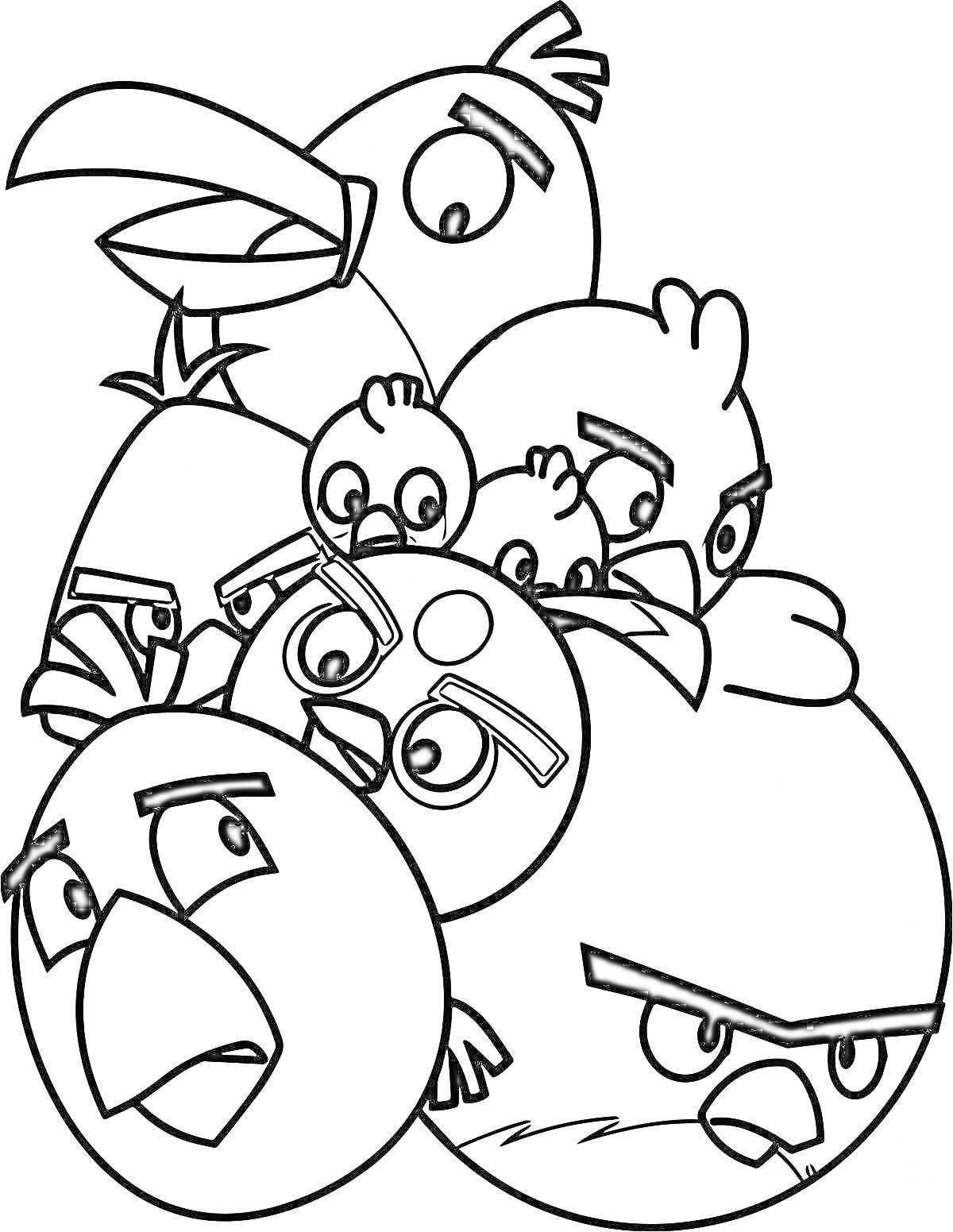 Раскраска Группа злых птиц с различными выражениями лиц и позами