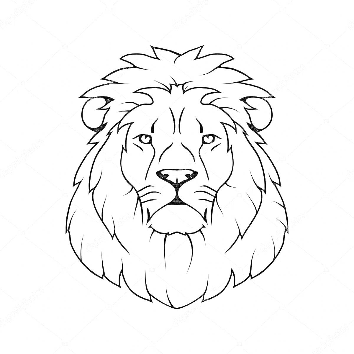 На раскраске изображено: Лев, Голова льва, Грива