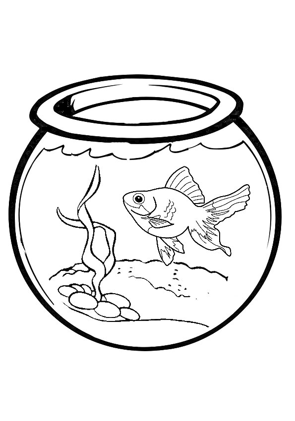 Раскраска Золотая рыбка в аквариуме с растением и камнями