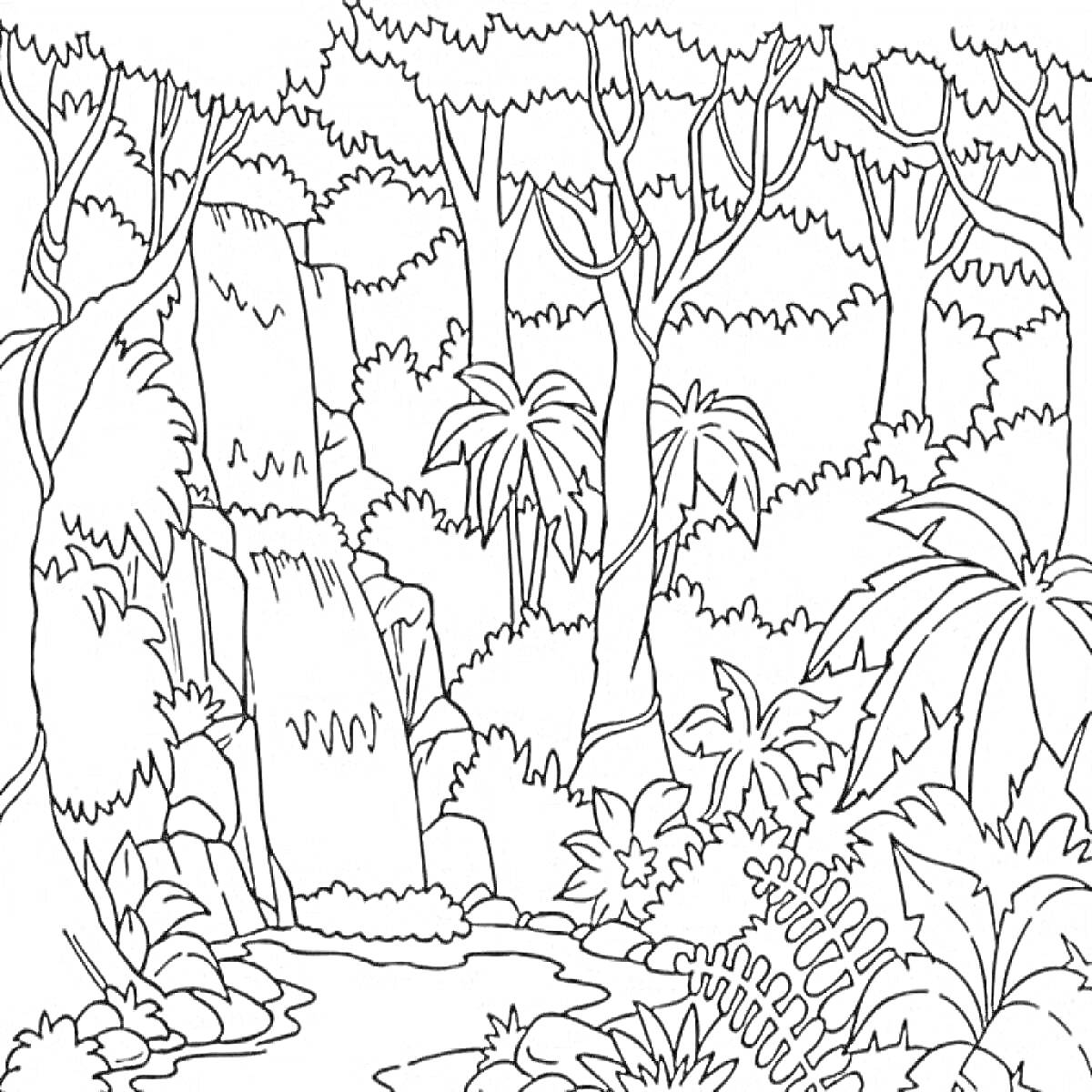 На раскраске изображено: Водопад, Лес, Деревья, Кусты, Тропический лес, Природа, Река, Камни, Растения