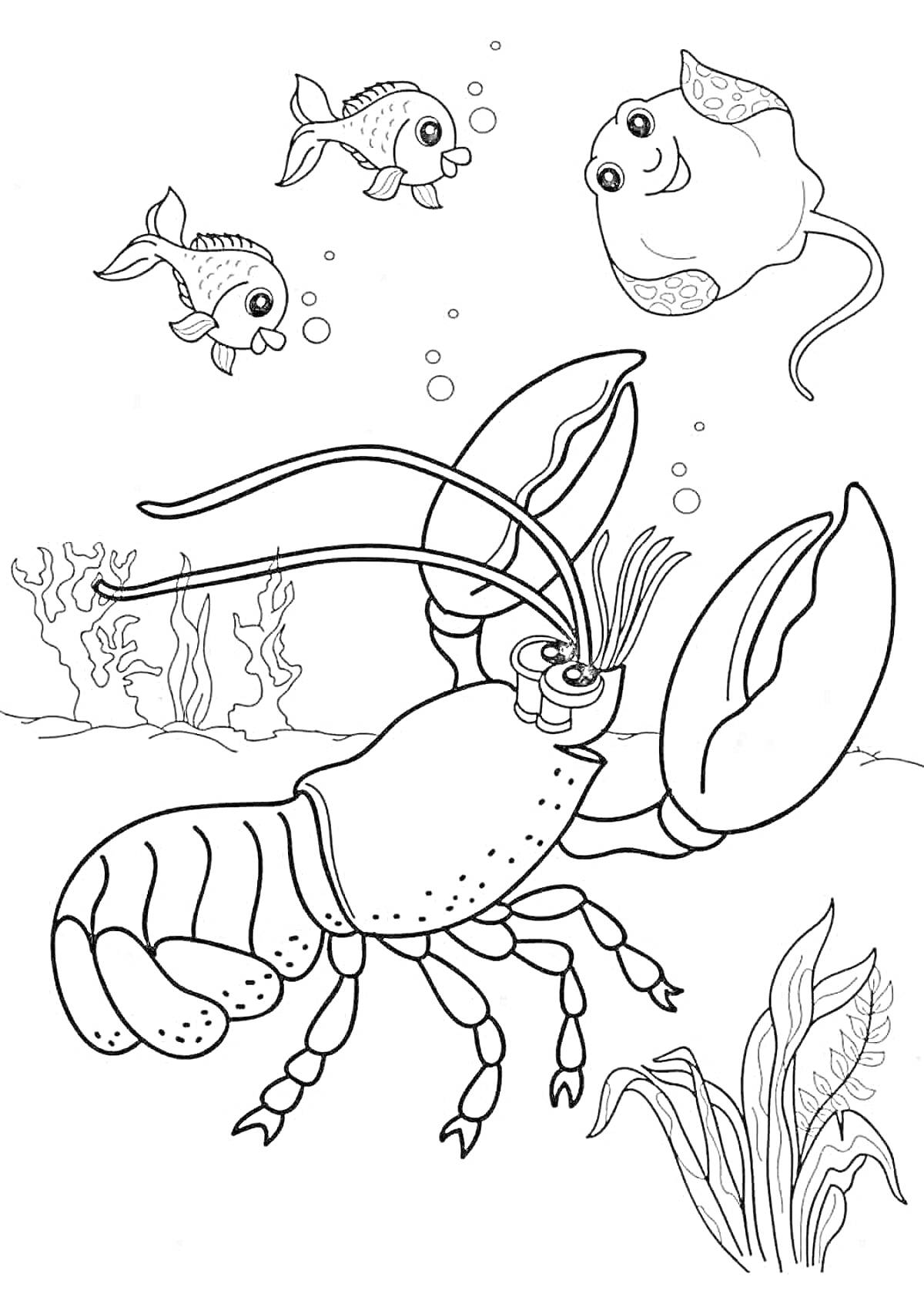 На раскраске изображено: Подводный мир, Рак, Скат, Кораллы, Водоросли