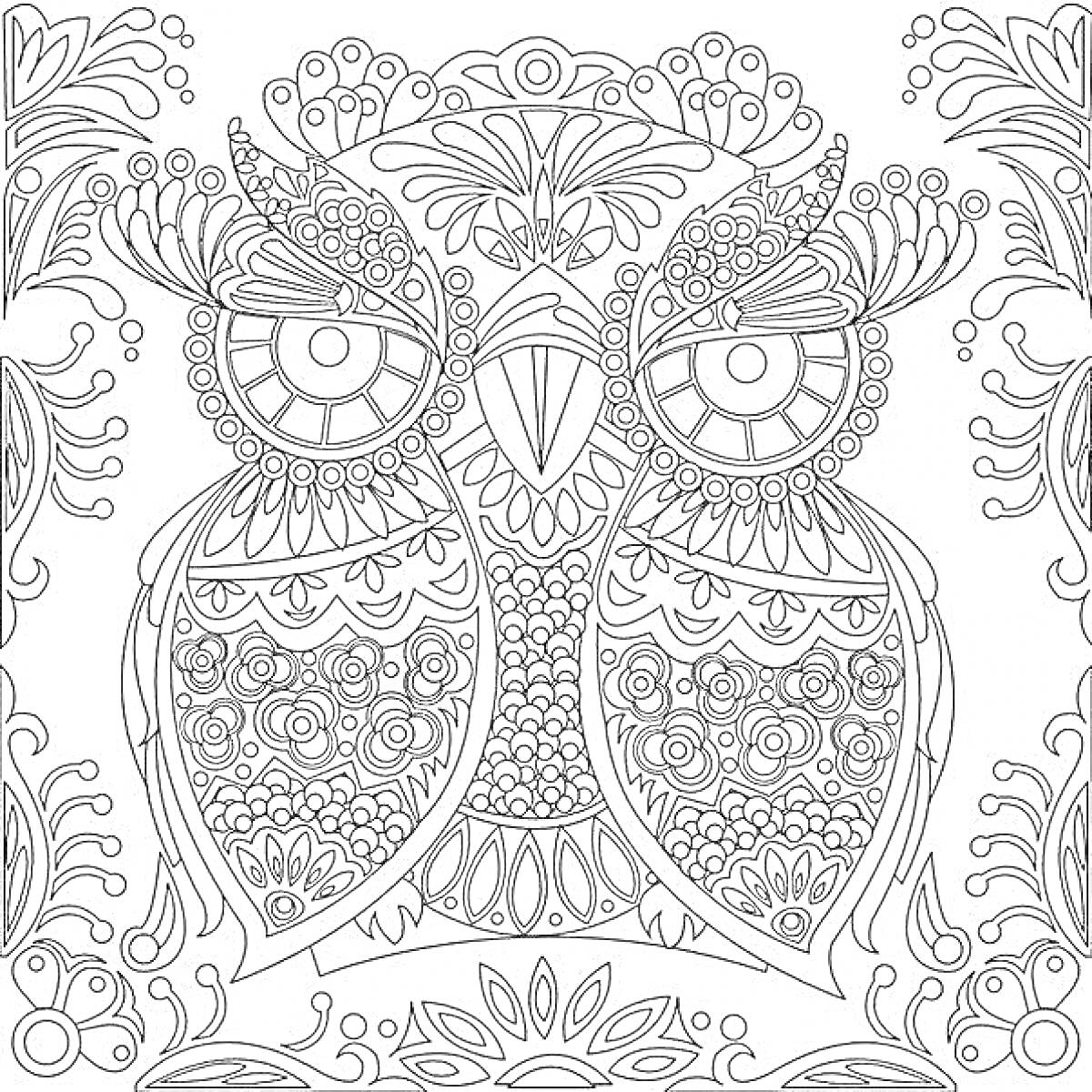 РаскраскаРаскраска с декоративной совой и узором из цветов и листьев