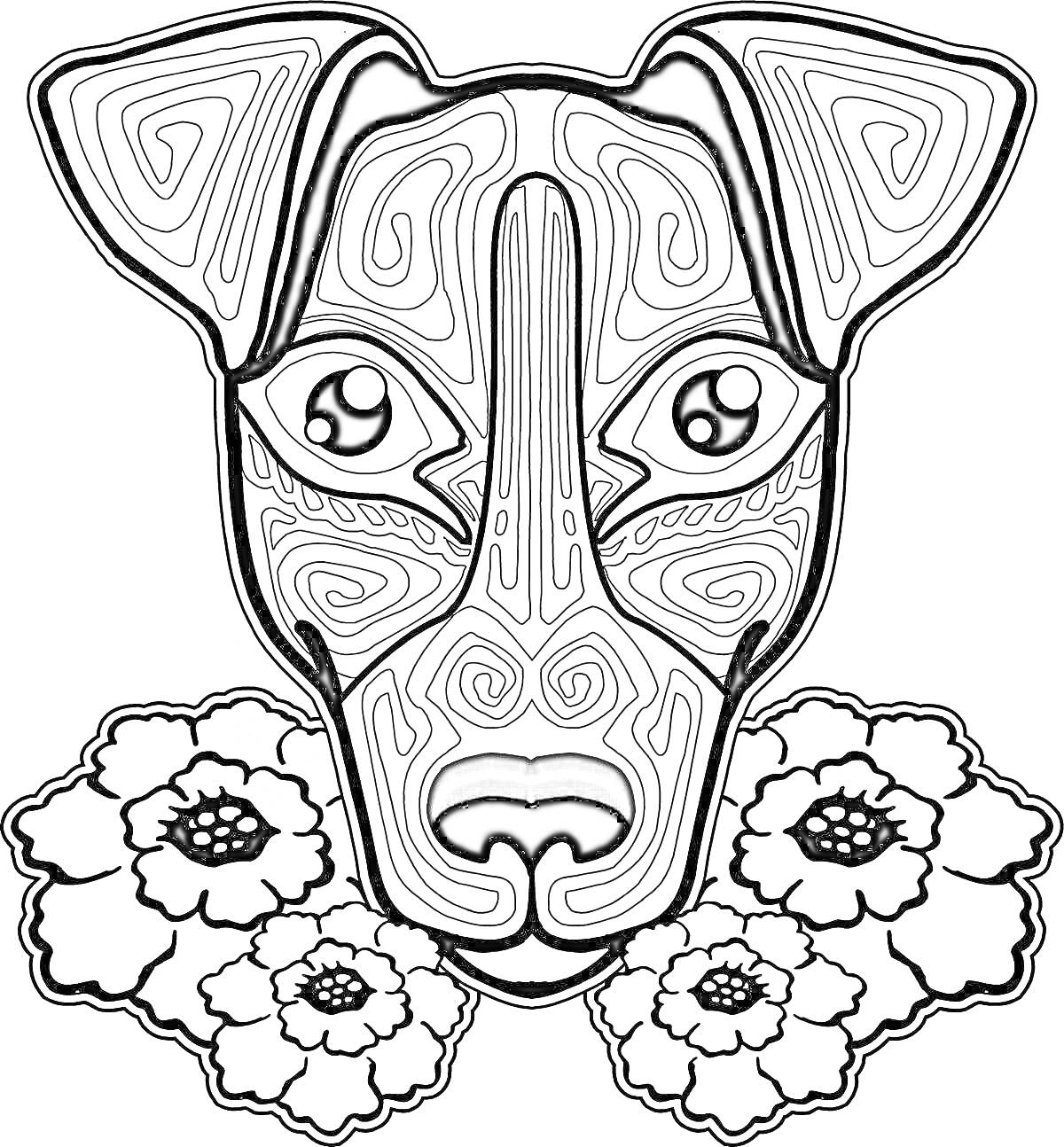 Раскраска Собачка с цветами антистресс, лабиринтный узор на морде, большие глаза, три цветка