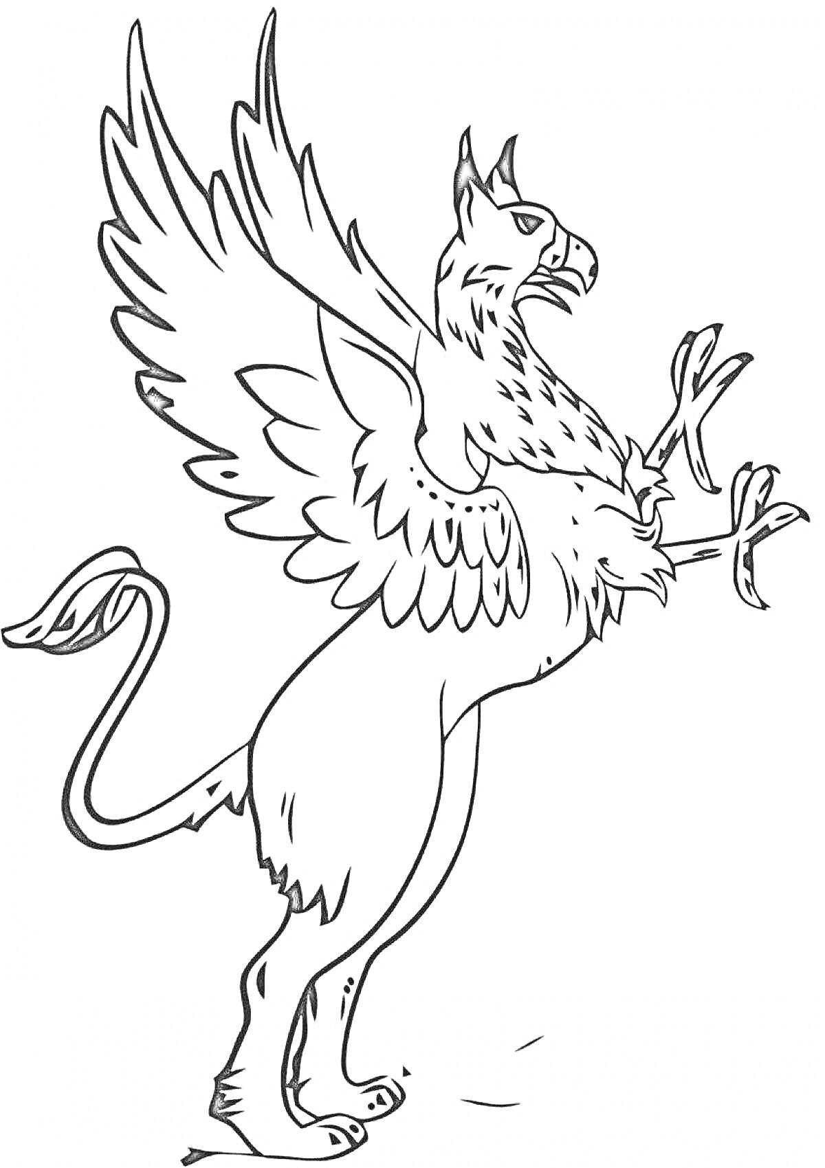 Раскраска Грифон с распахнутыми крыльями и поднятыми лапами