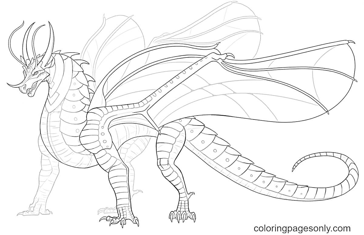 На раскраске изображено: Дракон, Рога, Крылья, Чешуя, Фантазия