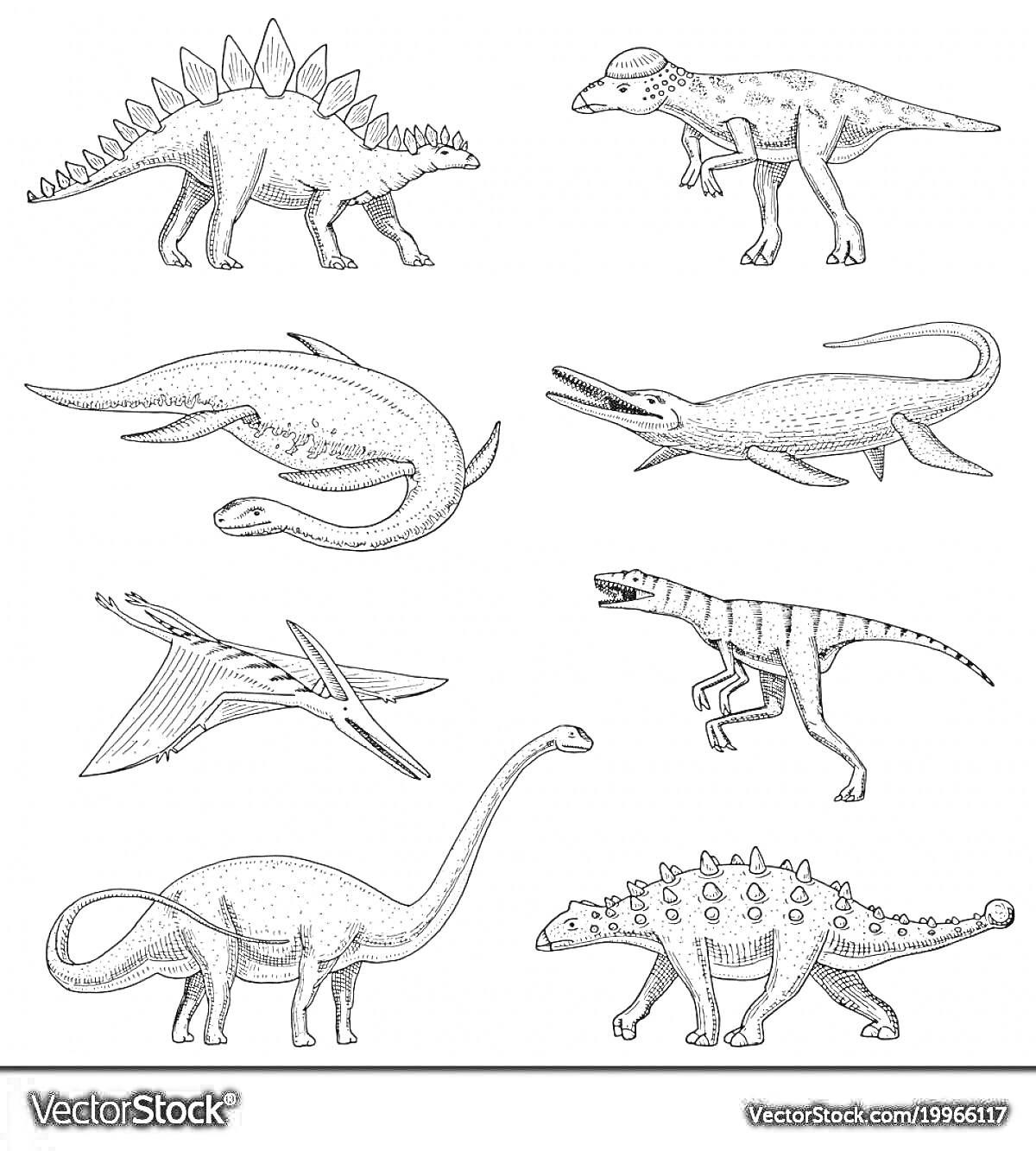 На раскраске изображено: Стегозавр, Пахицефалозавр, Мозазавр, Птеранодон, Велоцираптор, Диплодок, Анкилозавр