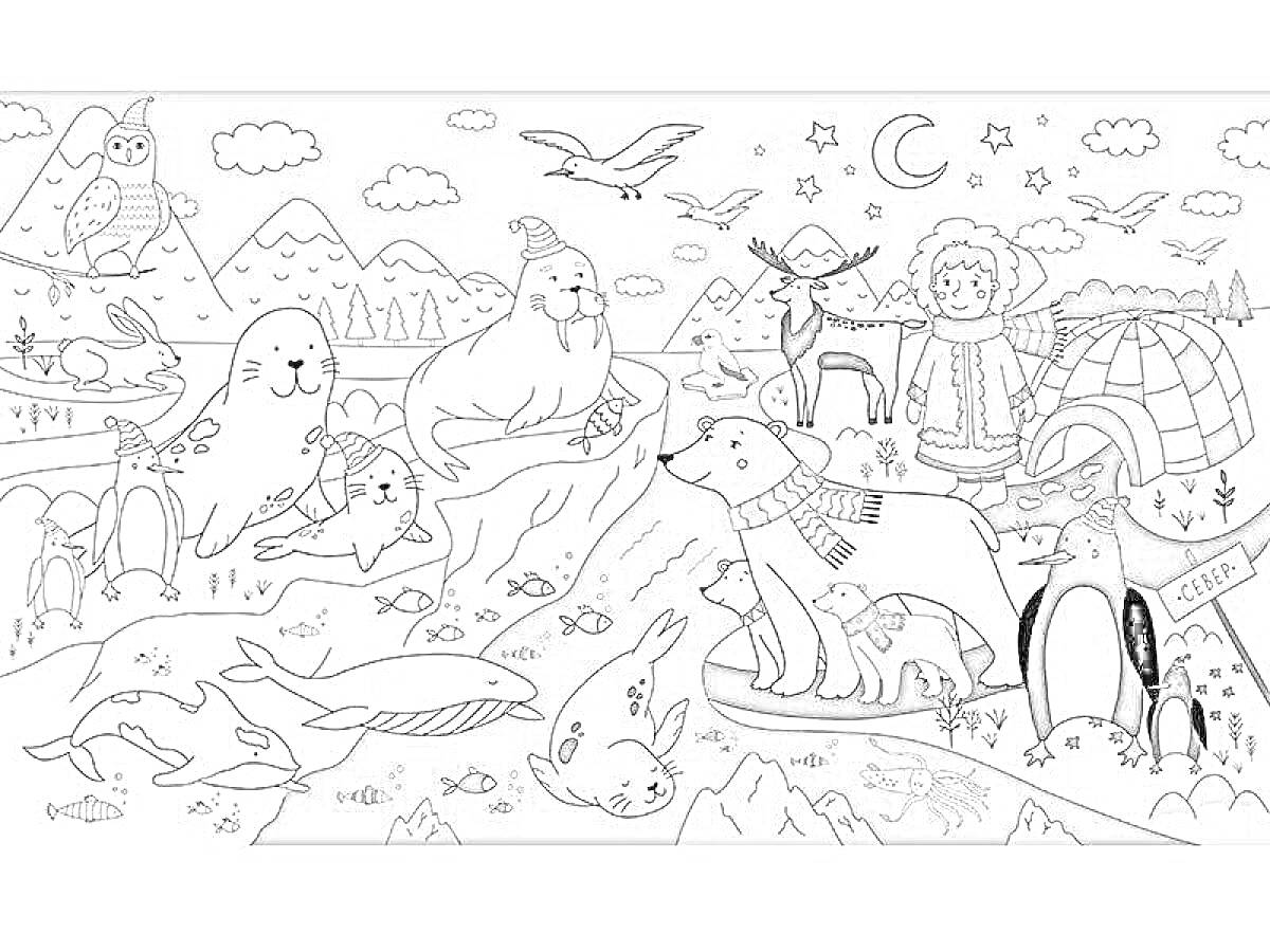 Раскраска Северное приключение. На картинке изображены горы, облака, чаек, тюленей, моржей, мальчика в зимней одежде, собак на санях, иглу, звездное небо с луной, пингвина, китов, рыб и прочую морскую жизнь.