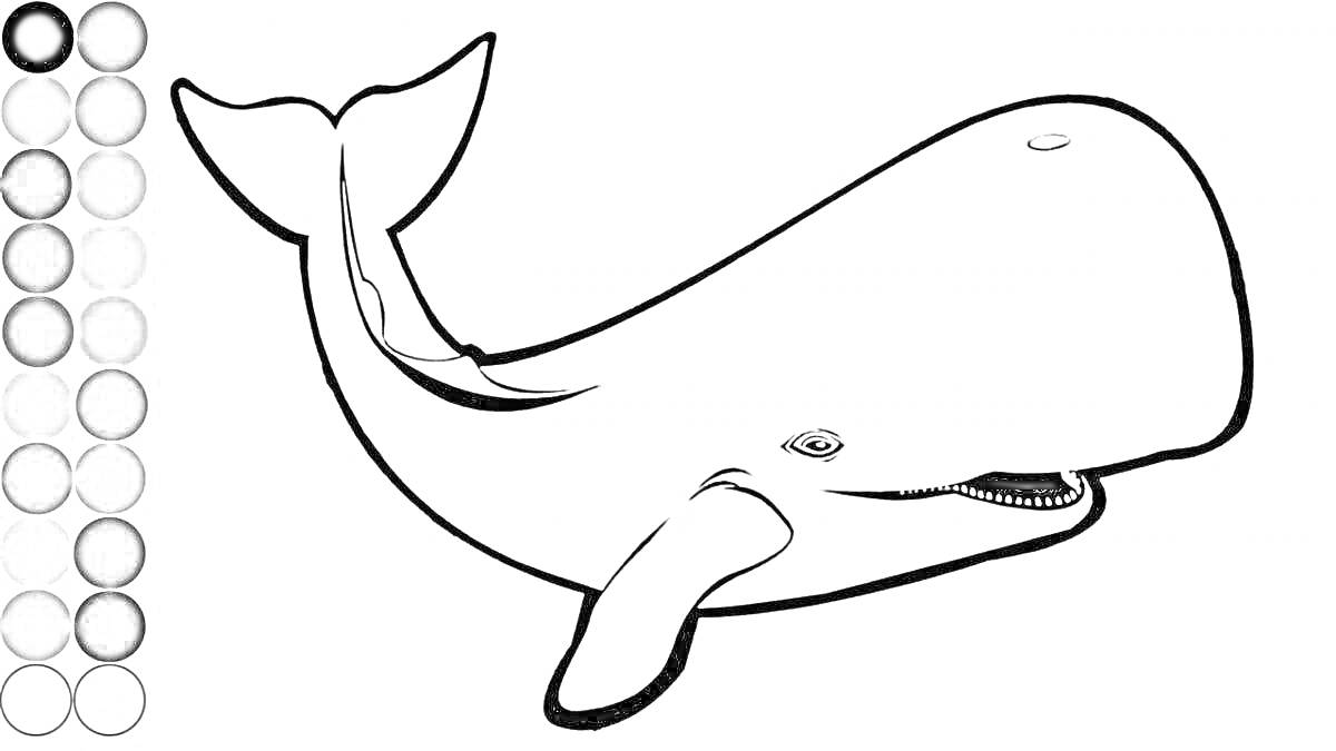 Раскраска кит с палитрой для раскрашивания