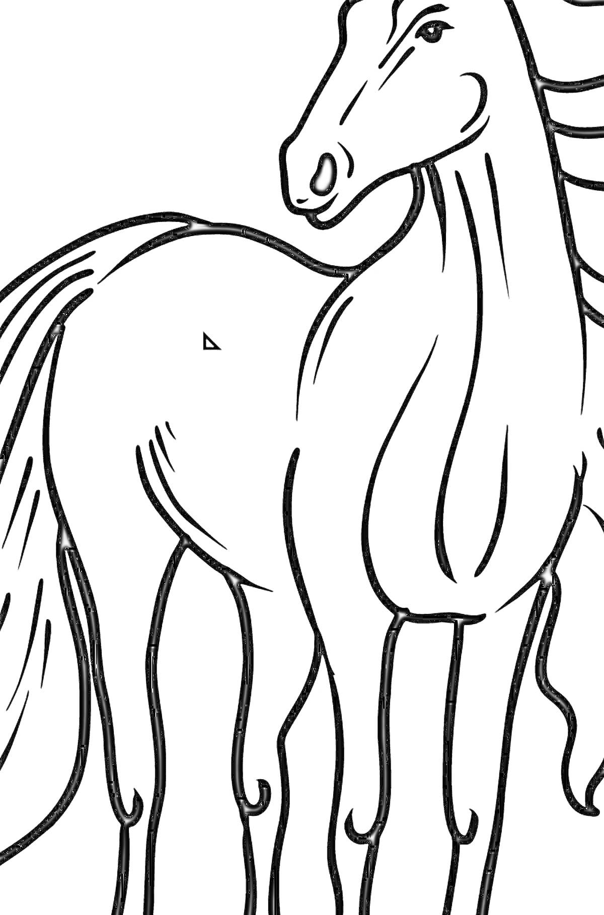 На раскраске изображено: Лошадь, Конь, Профиль, Без цвета