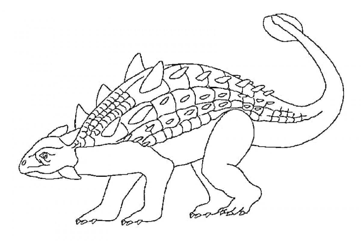 Раскраска Анкилозавр с шипами и булавовидным хвостом