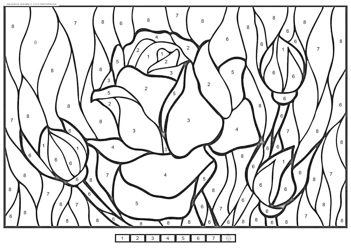 На раскраске изображено: По номерам, Цветы, Лепестки, Арт