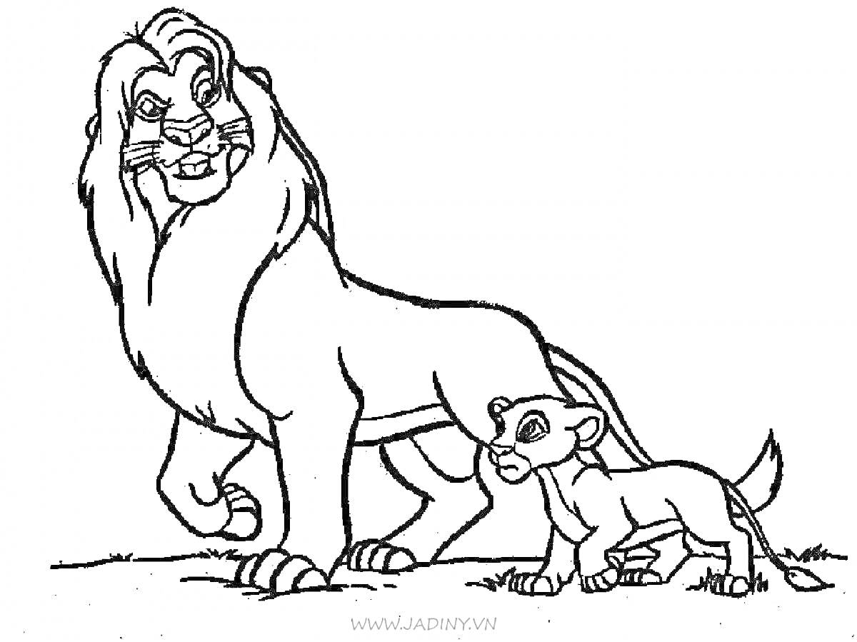 На раскраске изображено: Симба, Лев, Король лев, Африка, Саванна, Животные
