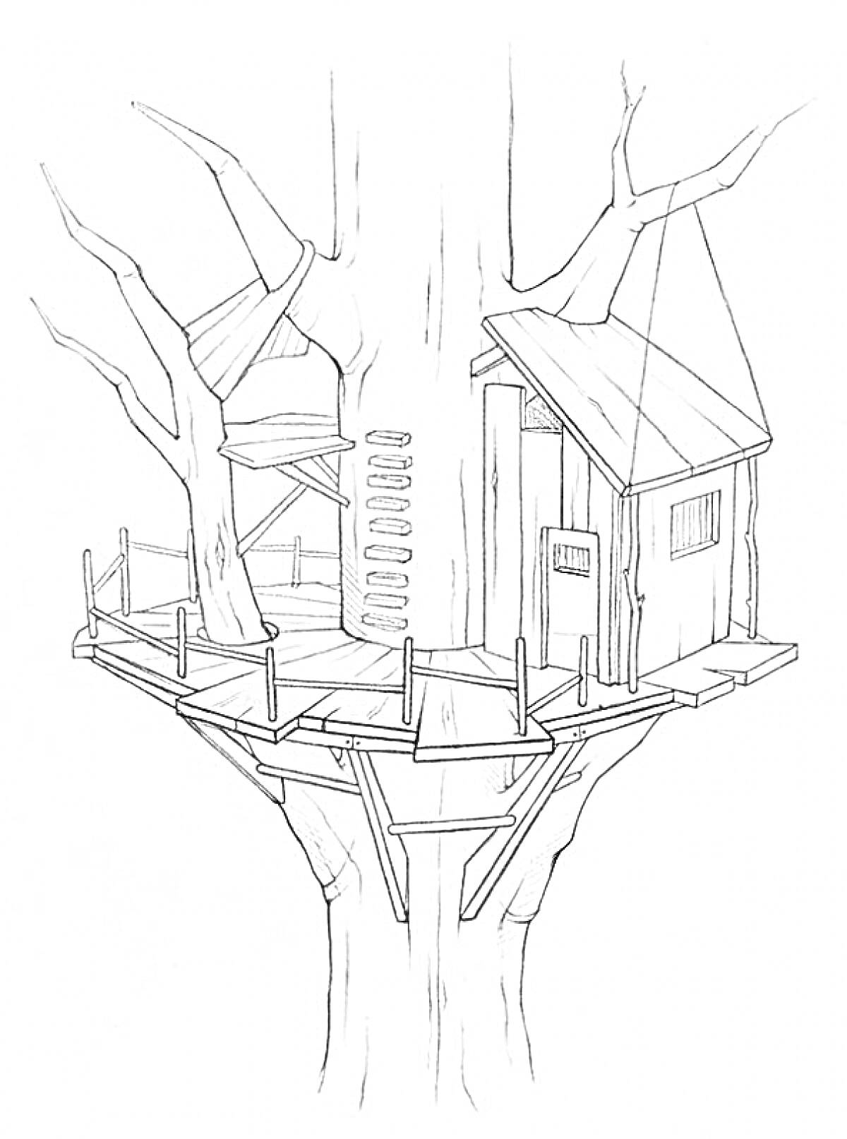 Домик на дереве с лестницей, площадкой и домиком