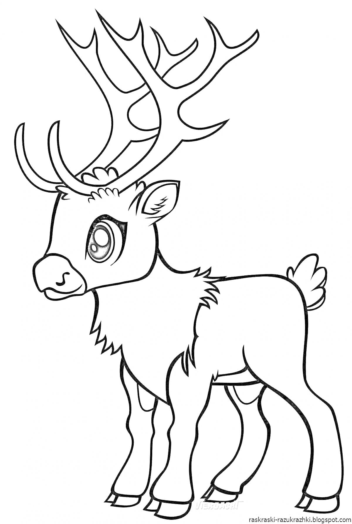 Раскраска Маленький северный олень с большими рогами