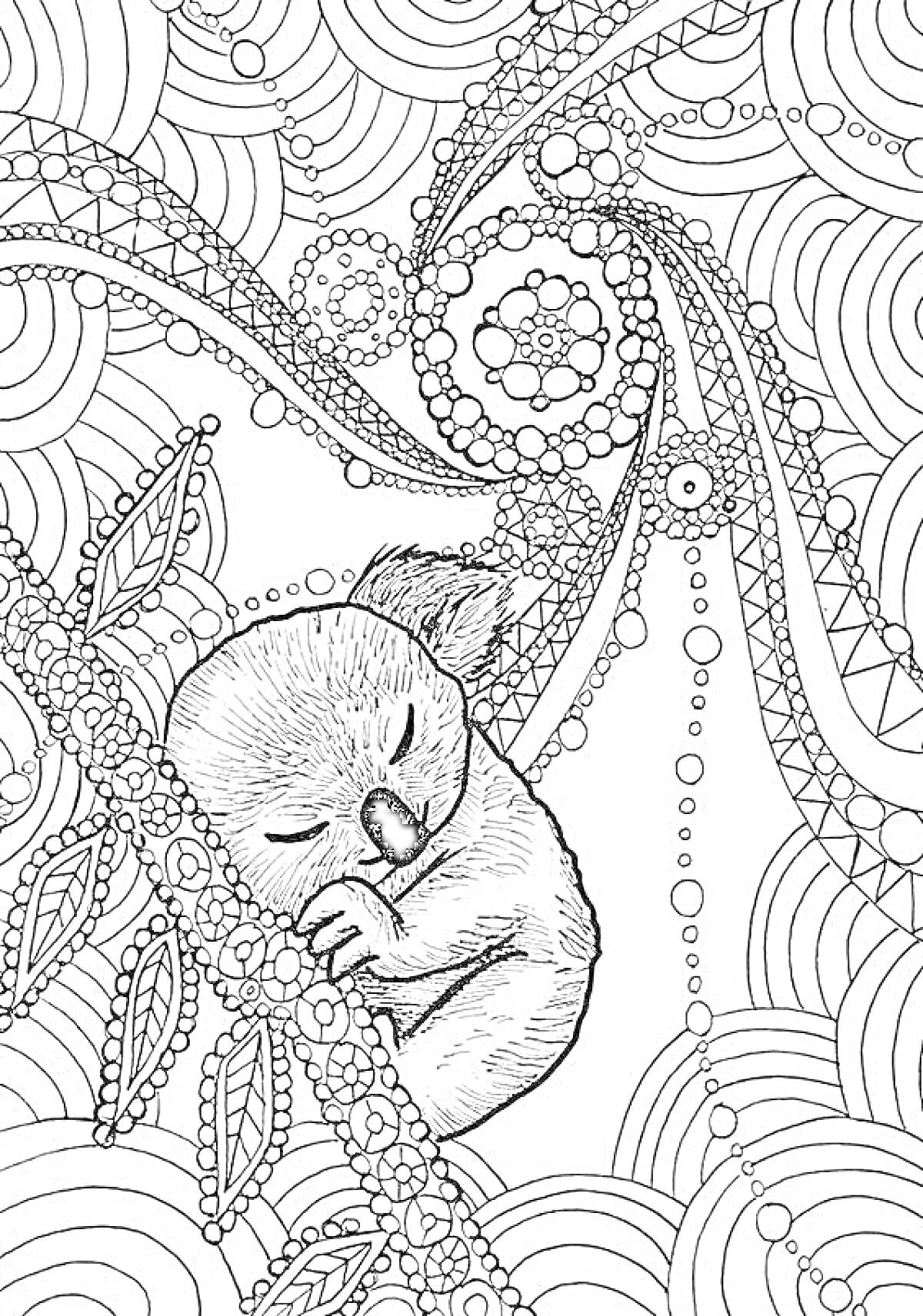 Раскраска Спящий коала на ветке с листвой на фоне абстрактного узора с кругами и линиями