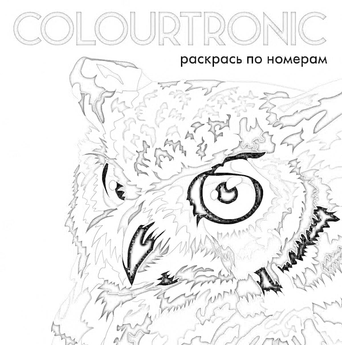 Раскраска Colourtronic, раскрась по номерам, сова вблизи, черно-белая