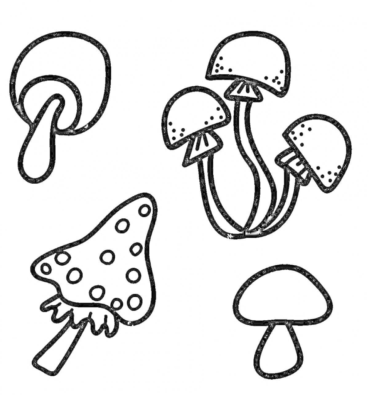 Раскраска Несъедобные грибы: один с каплей, три гриба на одной ножке, гриб с пятнами, простой гриб