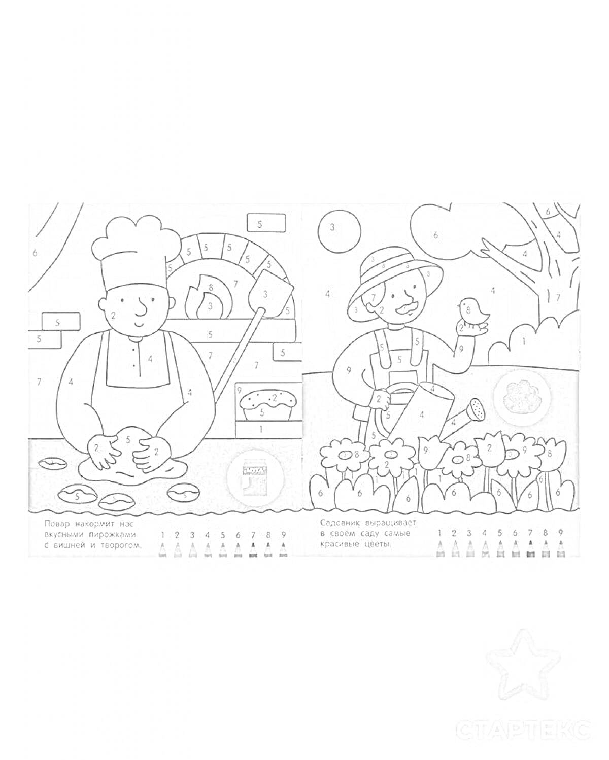 На раскраске изображено: Повар, Садовник, Тесто, Кухня, Сад, Цветы, Лопата