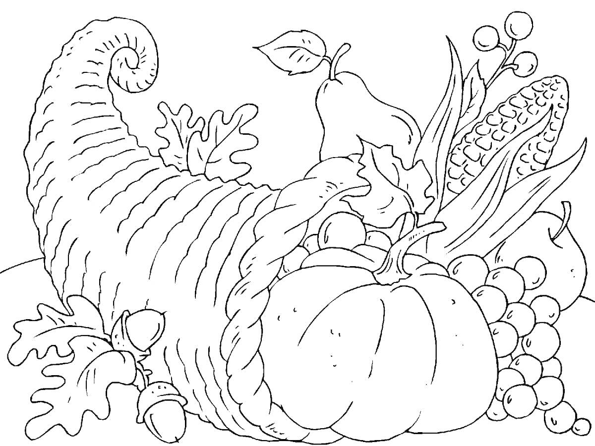 На раскраске изображено: Осень, Рог изобилия, Тыква, Кукуруза, Виноград, Желуди, Листья, Урожай, Овощи, Фрукты