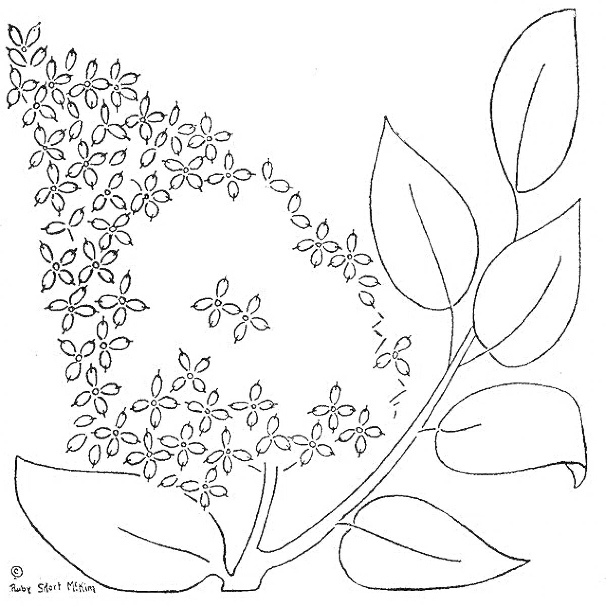 Раскраска Веточка сирени с цветками и листьями