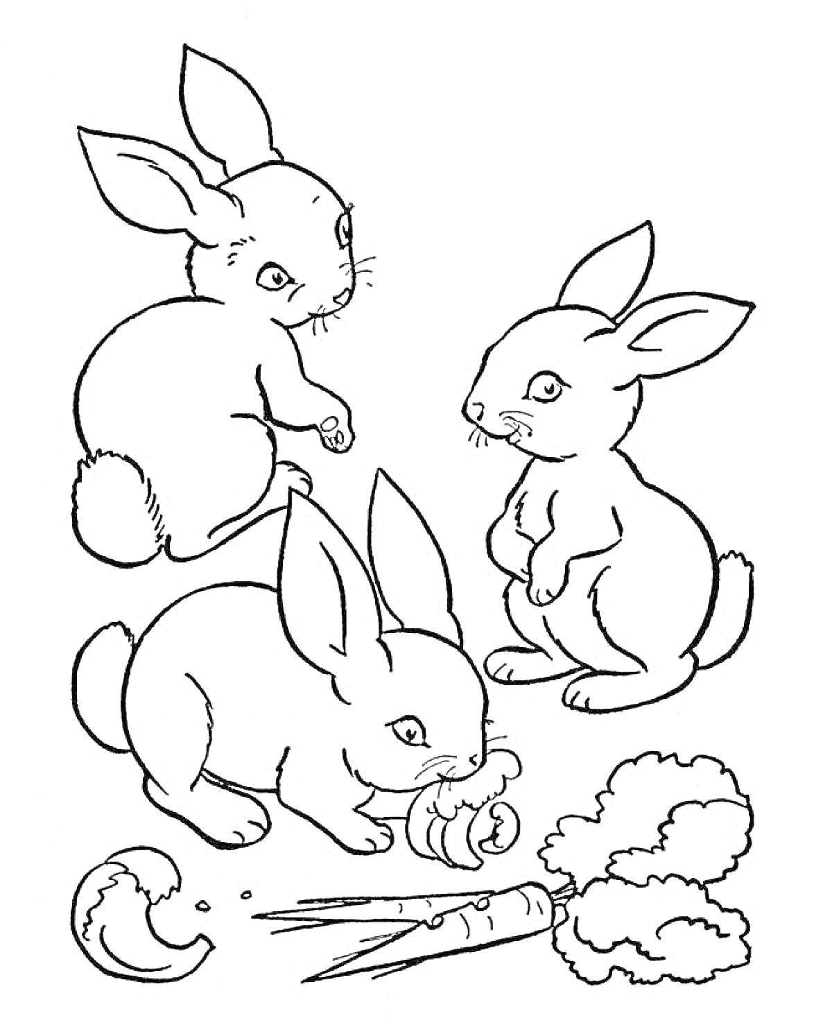 На раскраске изображено: Кролик, Морковь, Капуста, Домашние животные, Для детей