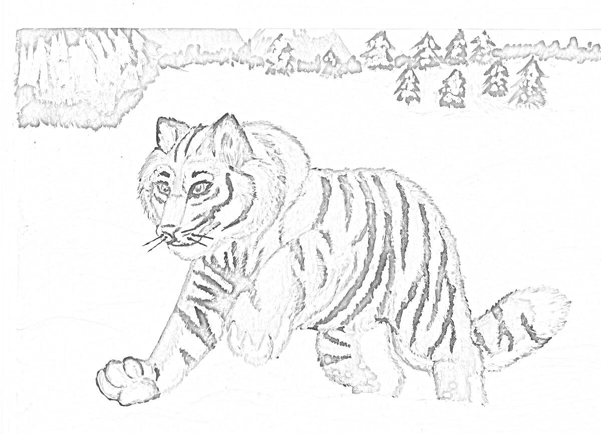 На раскраске изображено: Амурский тигр, Зима, Лес, Деревья, Снег, Природа, Красная книга, Животные, Хищники