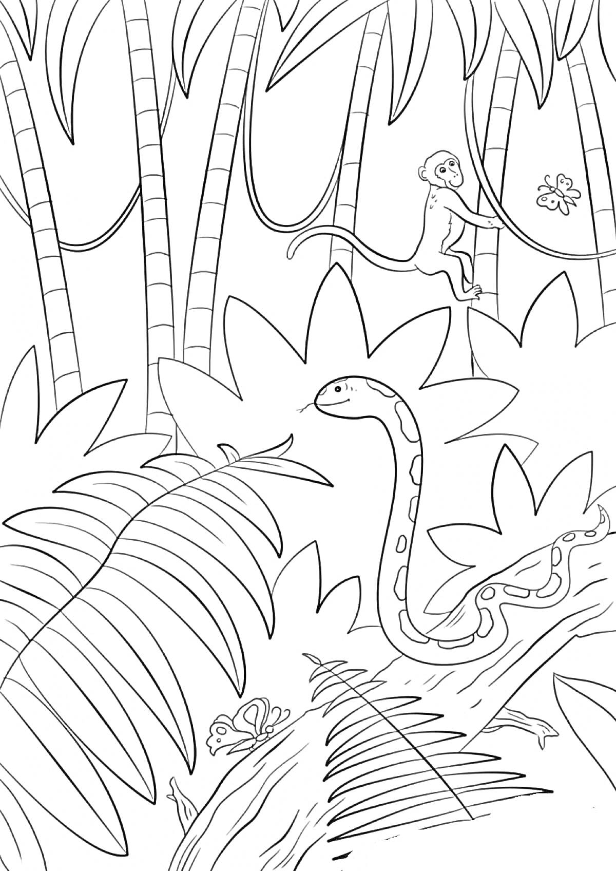 На раскраске изображено: Джунгли, Деревья, Листва, Природа, Тропики, Животные, Змеи, Лягушки, Обезьяны