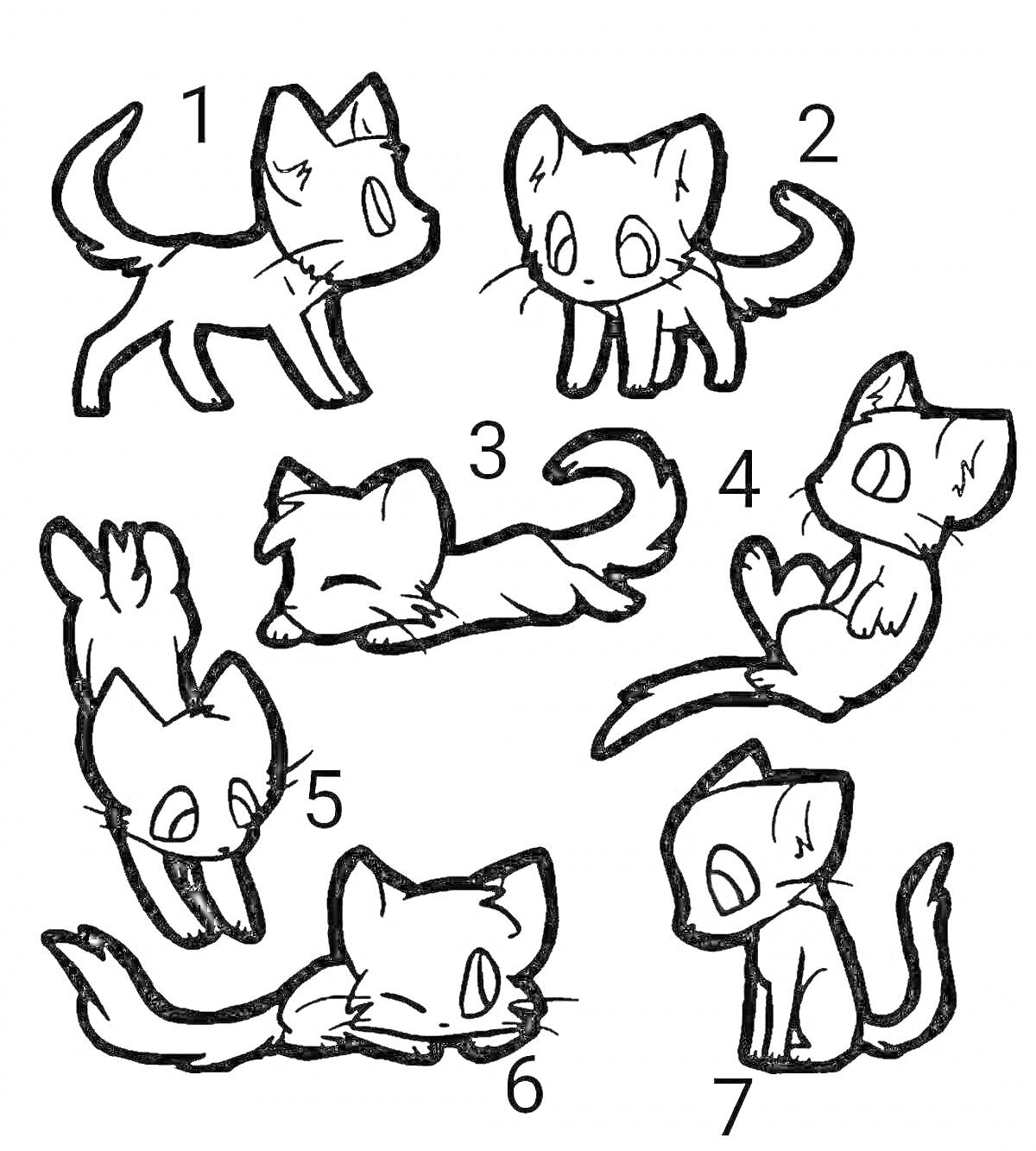 Раскраска Семь котят в разных позах