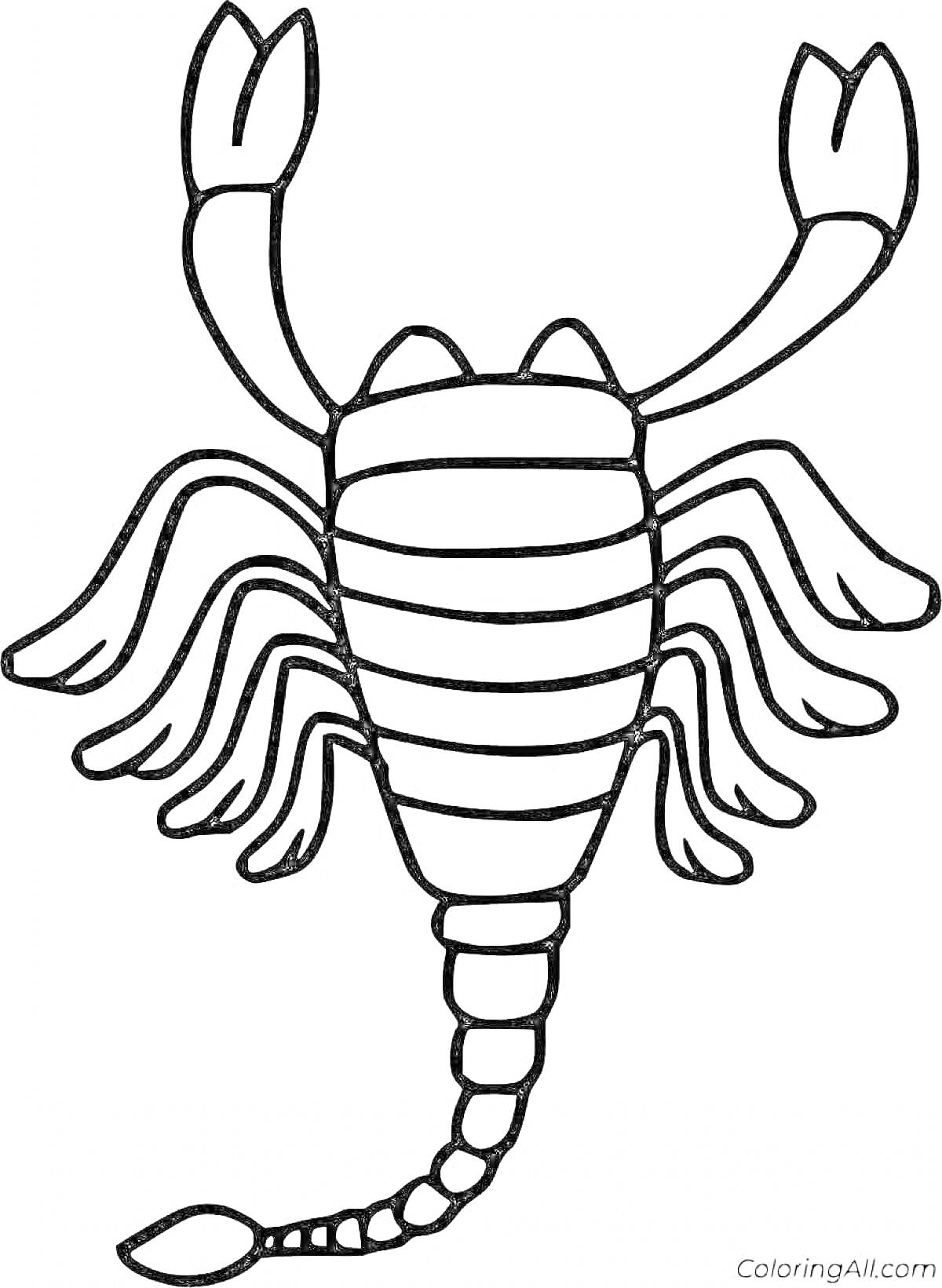 Скорпион с поднятыми клешнями и детализированным хвостом