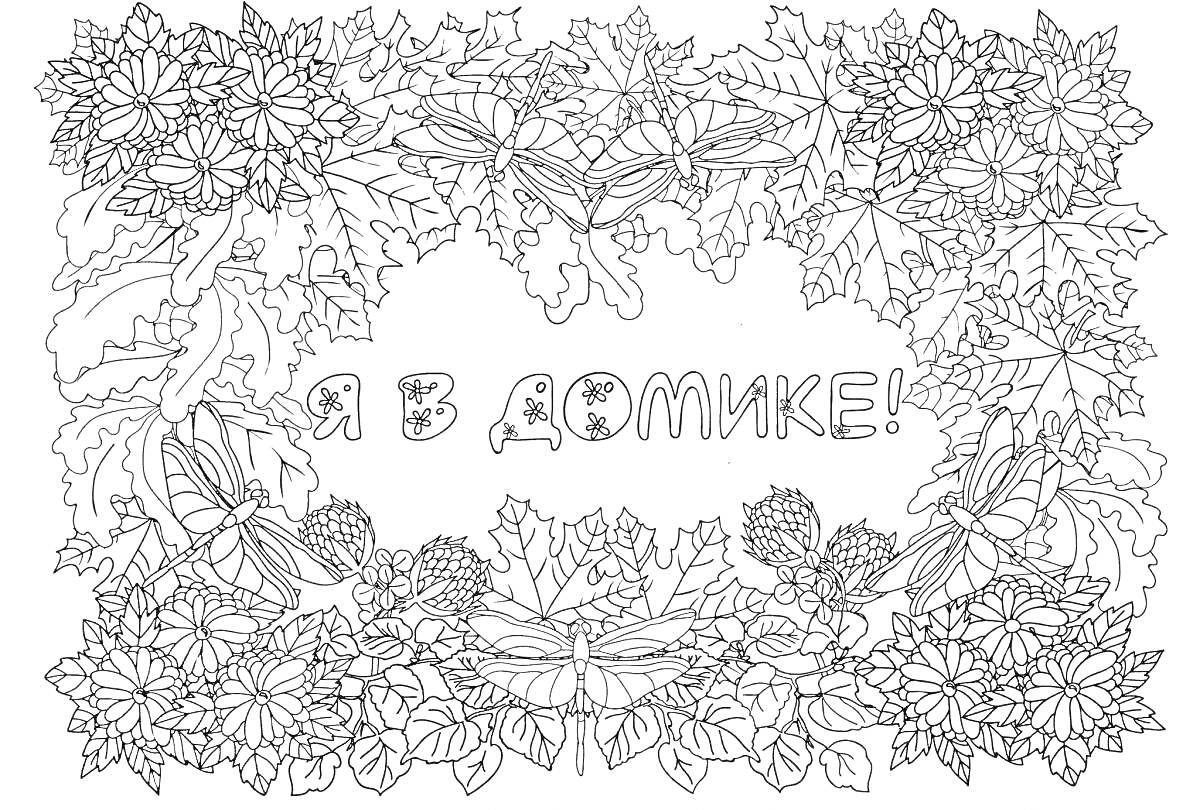На раскраске изображено: Антистресс, Цветы, Листья, Стрекозы, Ягоды