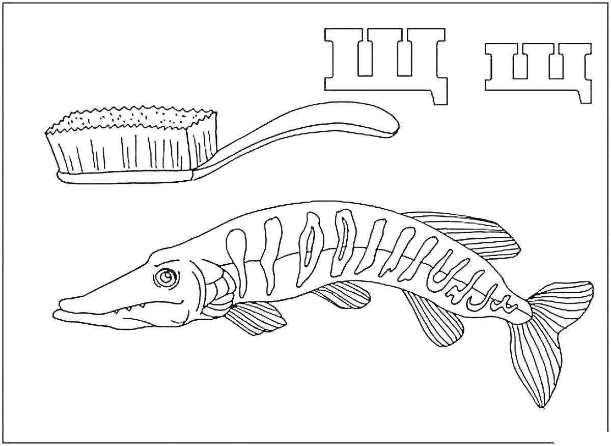Раскраска щука с расческой и буквой Щ