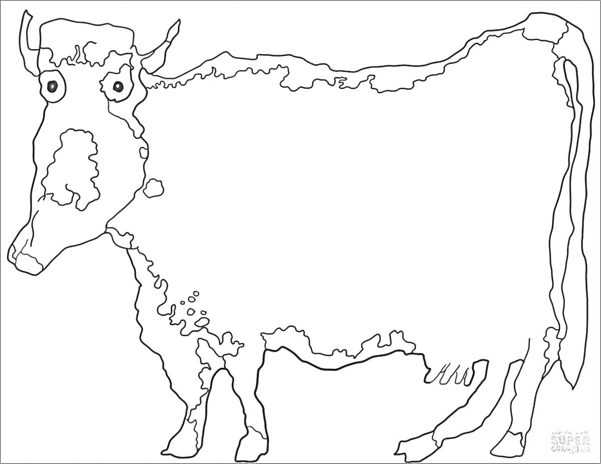 Раскраска Картинка с контуром коровы