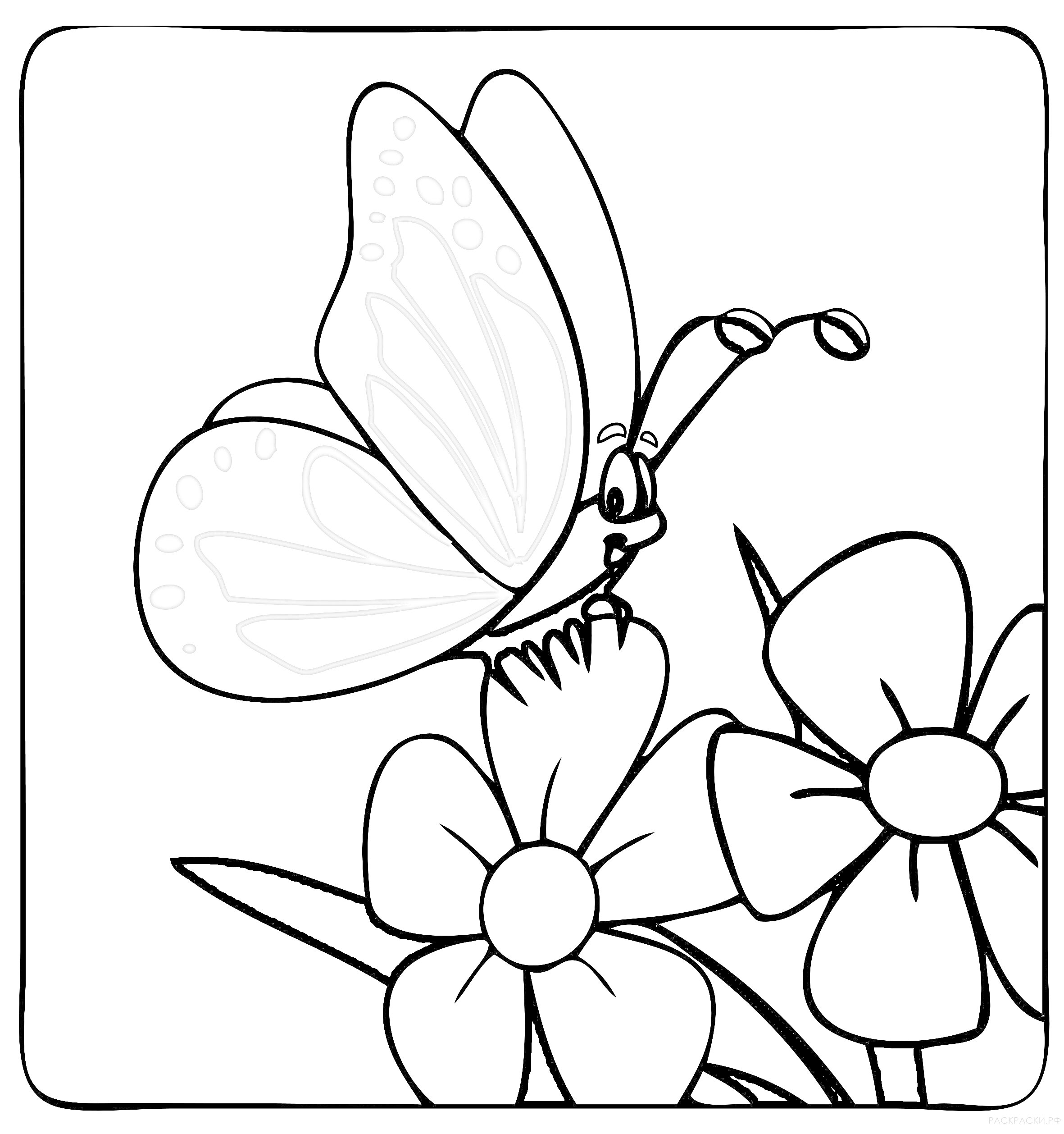 Раскраска Бабочка на цветах