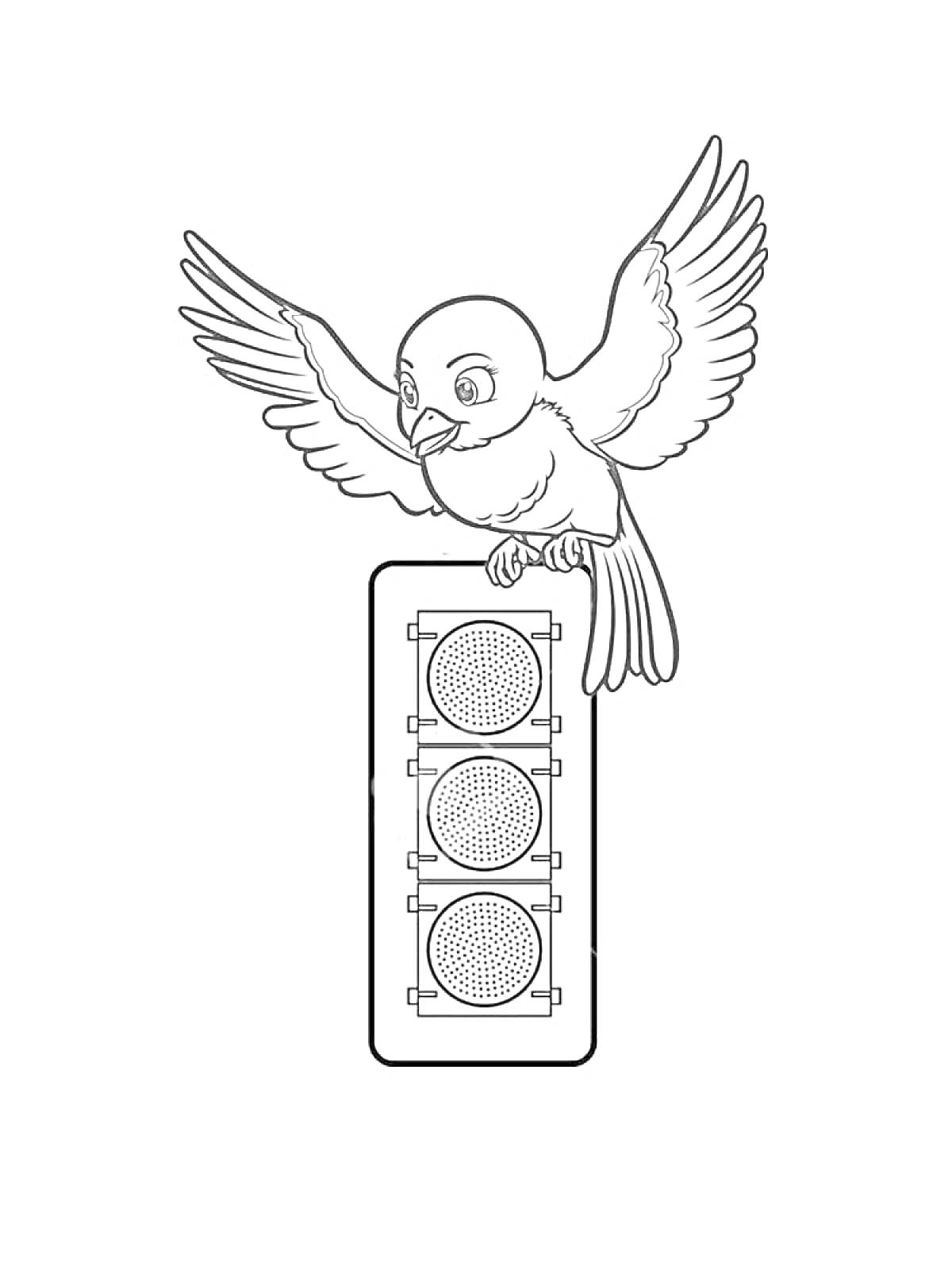 Раскраска Светофор с птицей, сидящей сверху