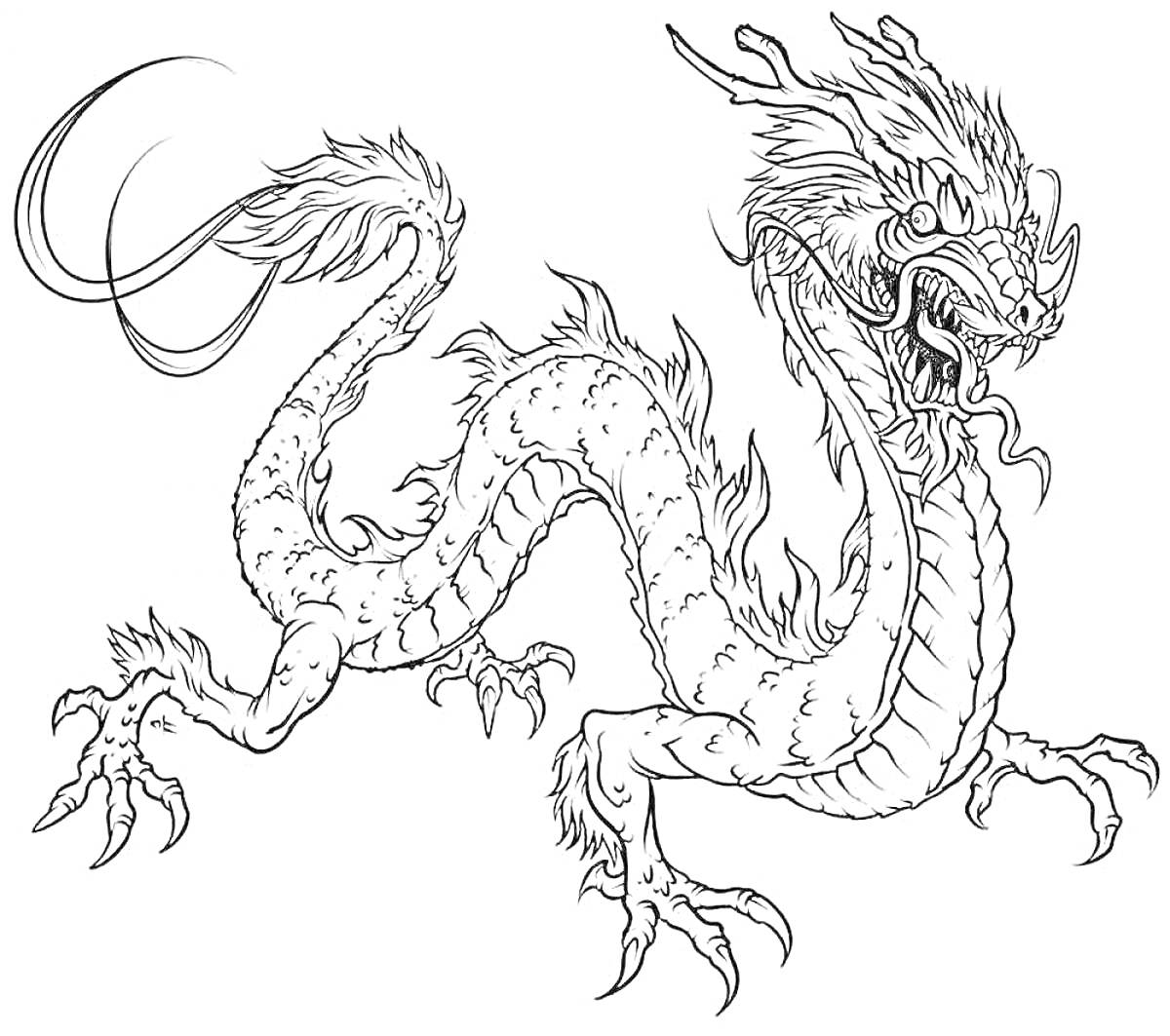Раскраска Дракон с длинным извивающимся телом, хвостом и мощными когтями, пышная грива на голове