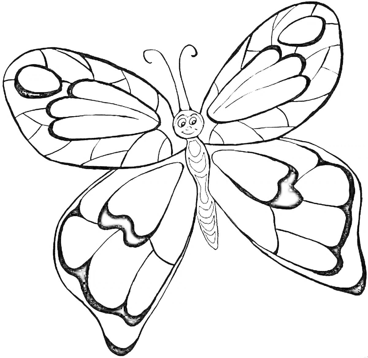 Раскраска бабочка с узорчатыми крыльями для раскрашивания