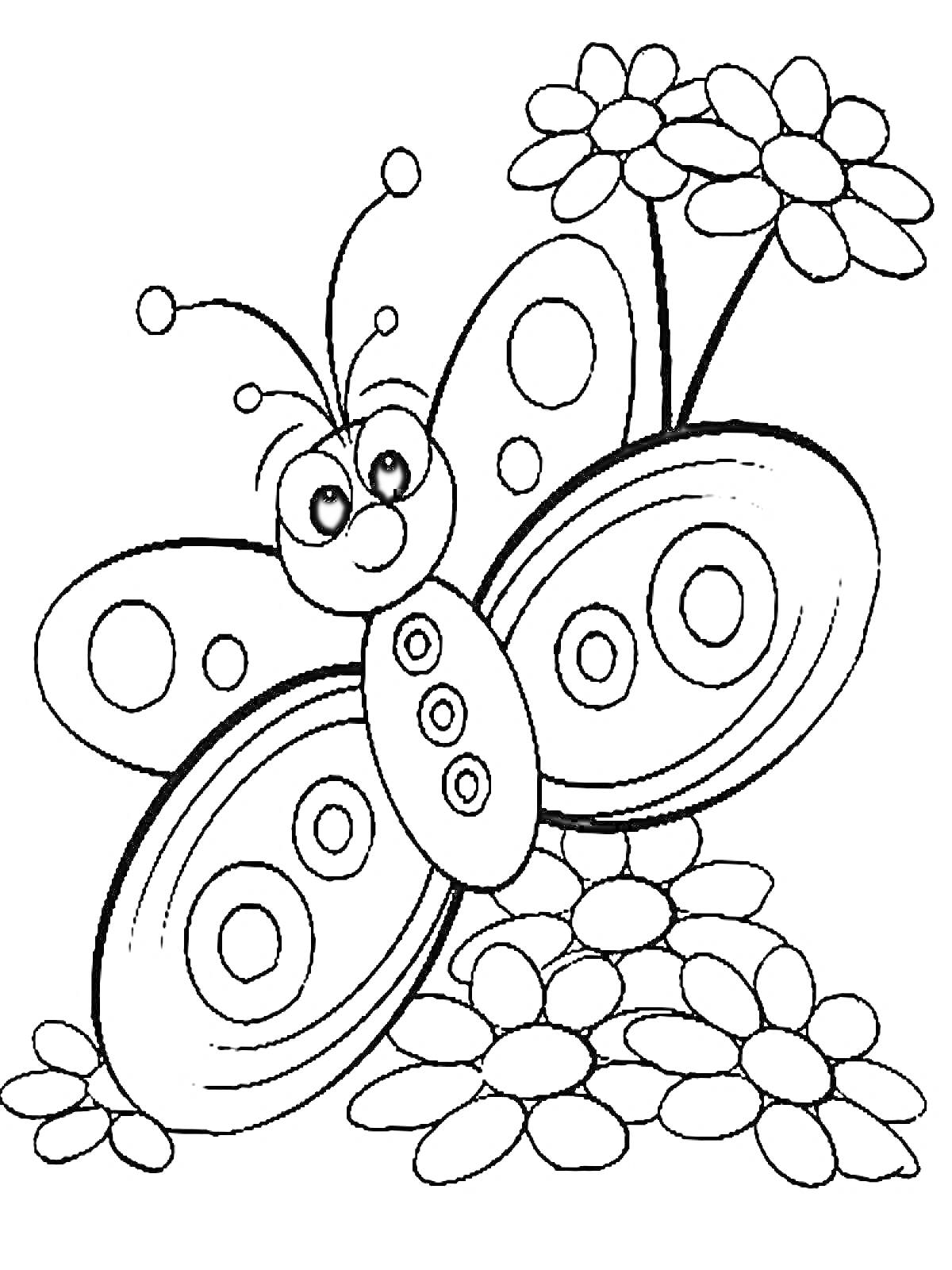 Раскраска Бабочка на цветочках